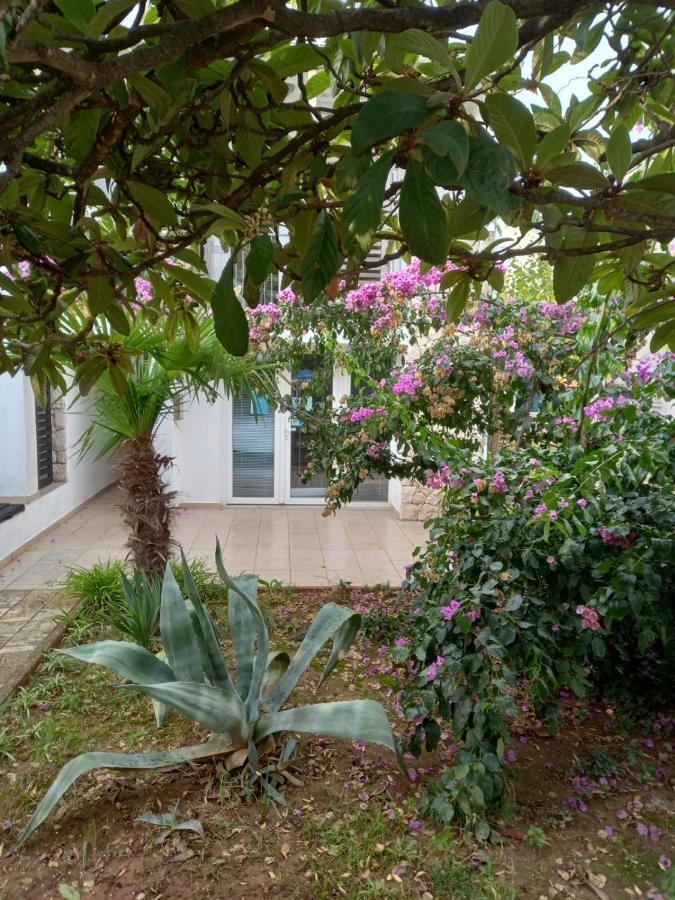 Lipa Apartment *